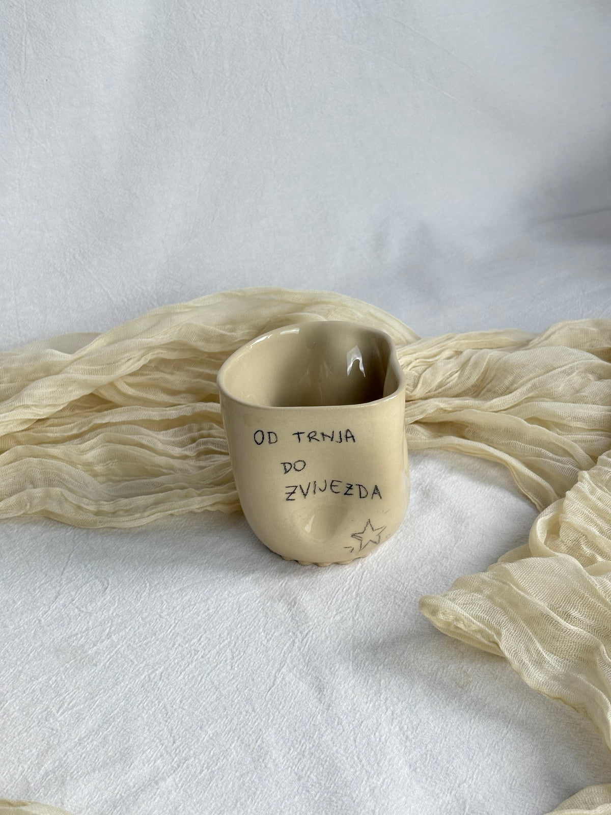 “Od trnja do zvijezda” šalica